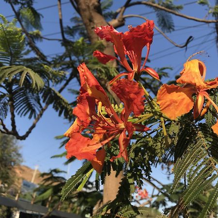 Sea Renity Mui Ne Homestay 潘切 外观 照片
